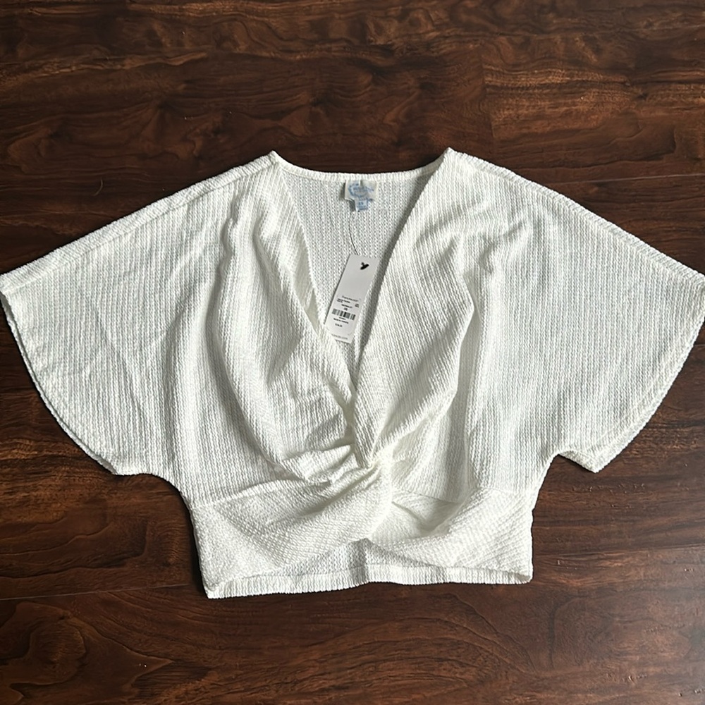 Deep v cropped top
